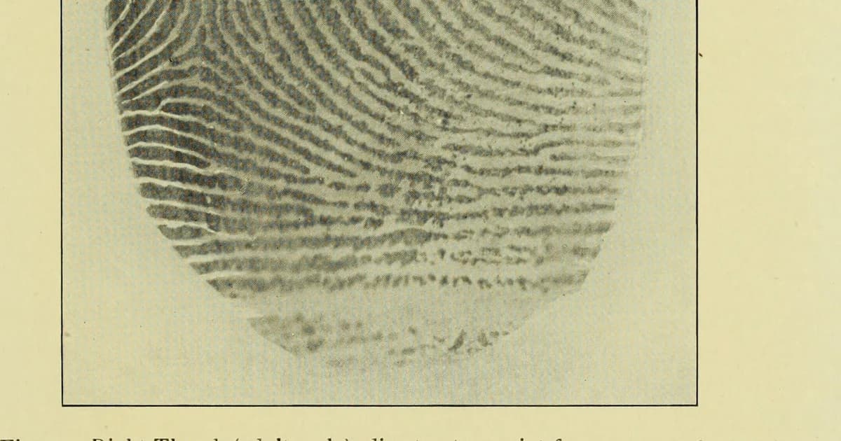 How to read weather windows for burn morels tutorial hero