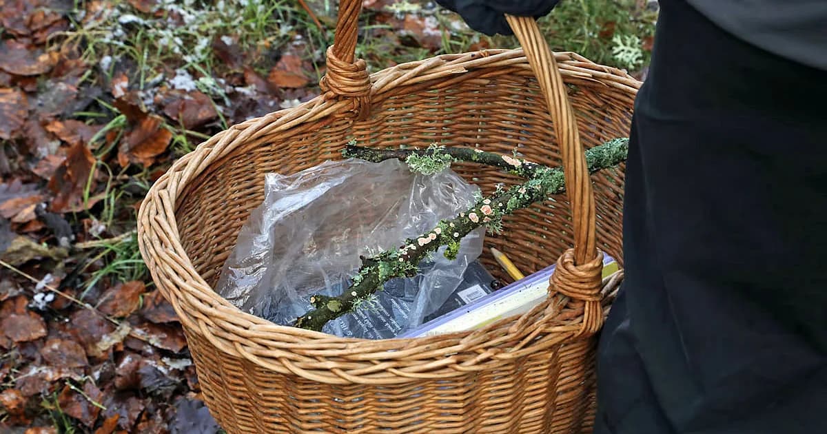 Recreation Area in Alaska