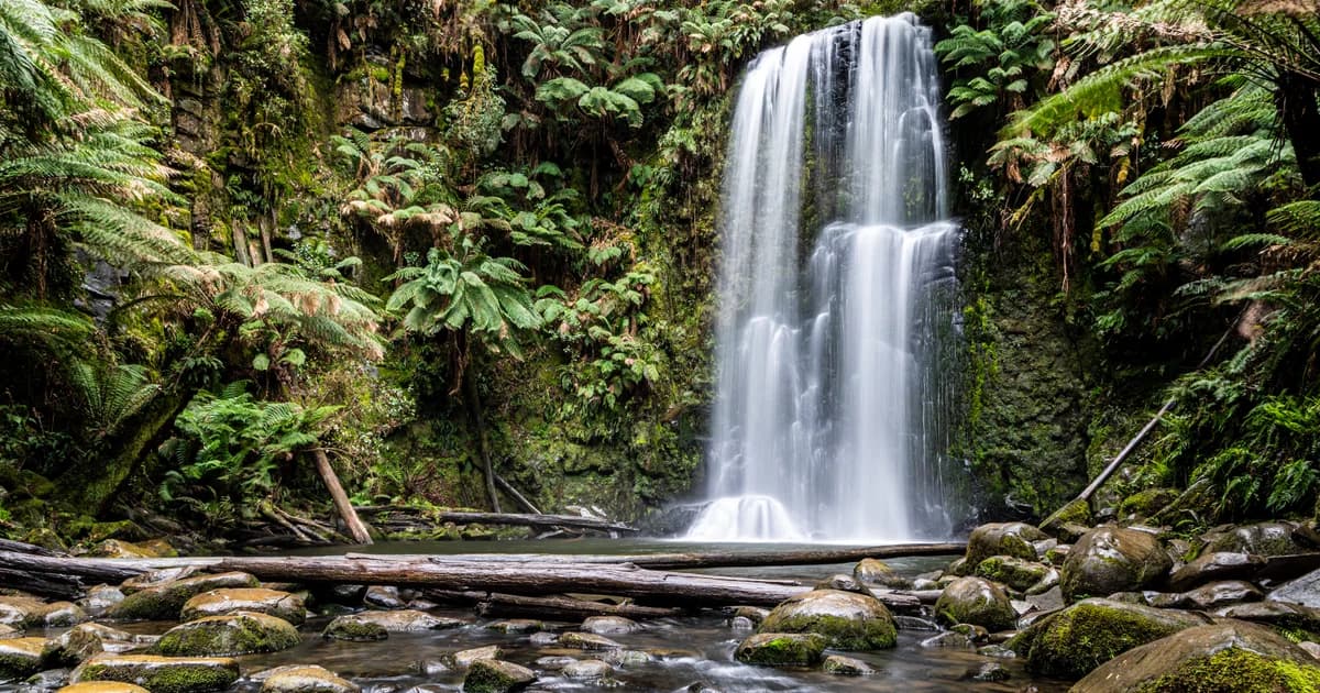 National Park in California