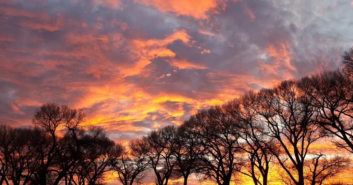 San Pedro Riparian National Conservation Area trail overview