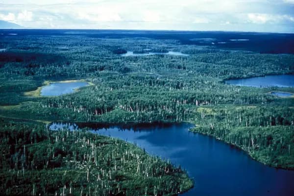 Kenai National Wildlife Refuge trail overview