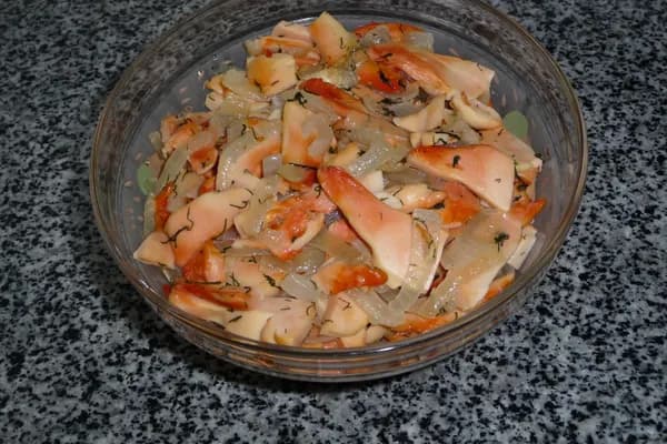 Chicken of the Woods (Laetiporus sulphureus) in Alabama habitat